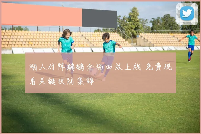 湖人对阵鹈鹕全场回放上线 免费观看关键攻防集锦